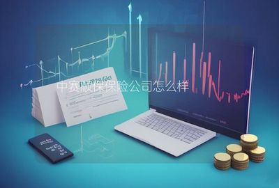 中賽順保保險(xiǎn)公司在計(jì)算機(jī)軟硬件的技術(shù)開(kāi)發(fā)與銷售領(lǐng)域的發(fā)展與優(yōu)勢(shì)